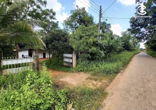 Land for Sale in Mihintale - Land for sale in Mihinthale