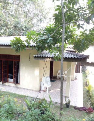 Land for Sale in Ragama - Land for sale in ragama