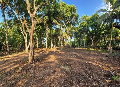 Land for Sale in Anuradhapura - Land for sale in Anuradapura