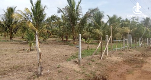 Land for Sale in Madurankuliya - Land for sale in Madurankuliya