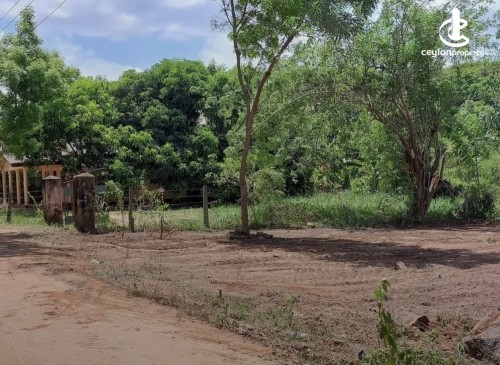 Land for Sale in Anuradhapura - Land for sale in Anuradapura