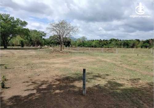 Land for Sale in Dambulla - Land for sale in Dambulla