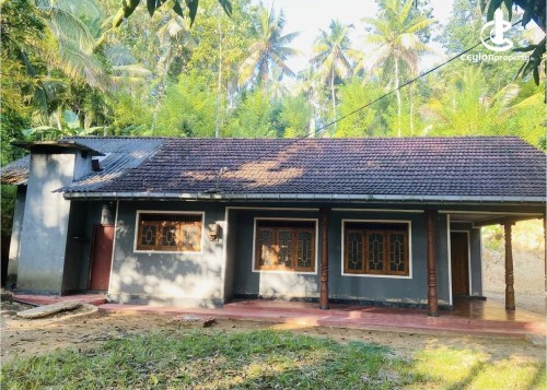 Land for Sale in Dodangaslanda - Land for sale in Dodamgaslanda