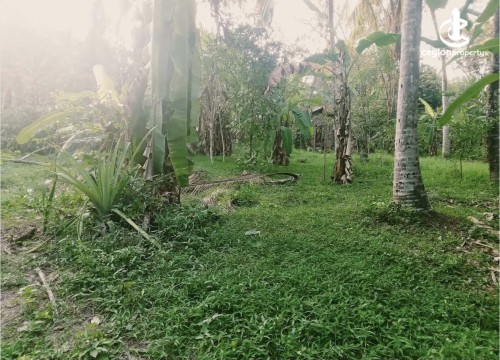 Land for Sale in Katunayake - Land for sale in katunayake