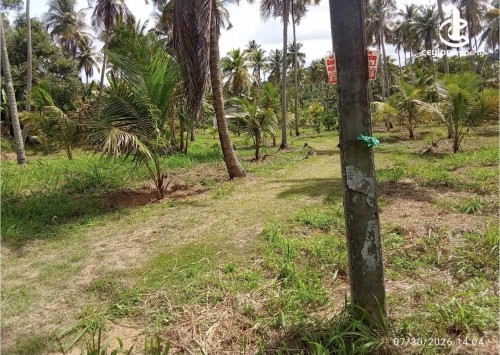 Land for Sale in Katupota - Land for sale in katupotha