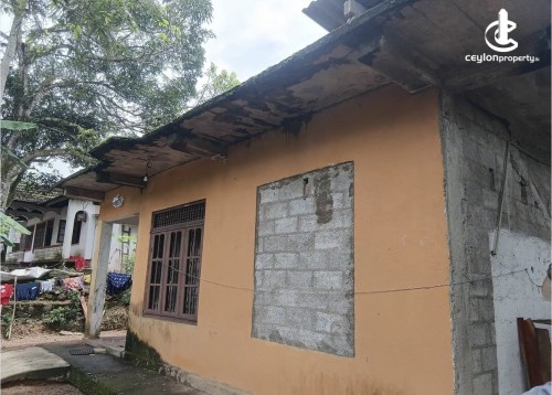 Land for Sale in Gampaha - Land for sale in gampaha