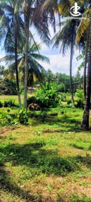 Land for Sale in Nittambuwa - Land for Sale in Nittambuwa