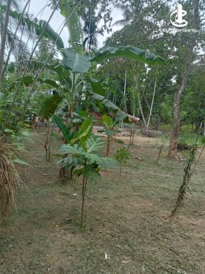 Land for Sale in Mirigama - Land for Sale in Mirigama