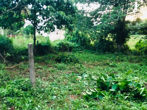 Land for Sale in Kadawatha - Land for Sale in Kadawatha