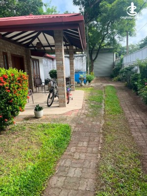 House for Rent in Colombo 6 (Wellawatta,Pamankada,Kirulapona South) - House for Rent in Colombo 06