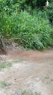 Land for Sale in Katugastota - Land for Sale in Katugasthota