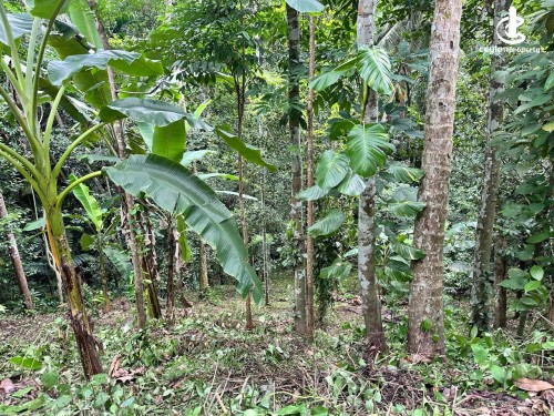 Land for Sale in Katugastota - Land for Sale in Katugasthota