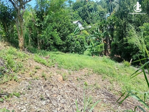Land for Sale in Matara - Land for Sale in Matara