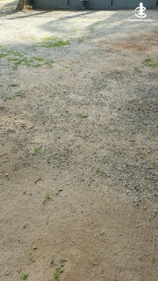 Land for Sale in Dankotuwa - Land for Sale in Dankotuwa