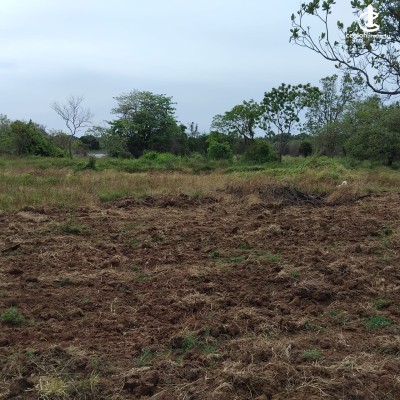 Land for Sale in Anuradhapura - Land for sale in Anuradhapura