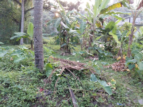 Land for Sale in Yakkala - Land for Sale in Yakkala