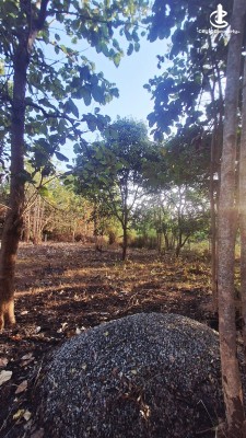 Land for Sale in Anuradhapura - Land for Sale in Anuradhapura