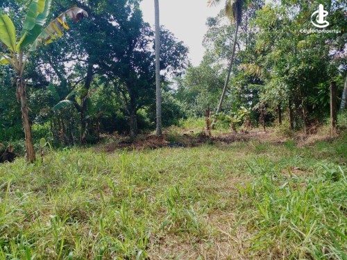 Land for Sale in Yakkala - Land for Sale in Yakkala