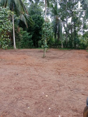 Land for Sale in Gampaha - Land for Sale in Gampha