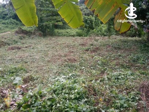 Land for Sale in Kalutara - Land for Sale in Kalutara