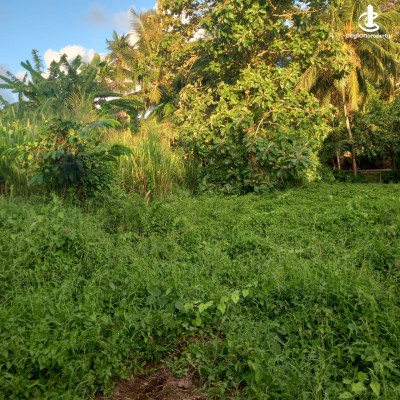 Land for Sale in Galle - Land for Sale in Galle