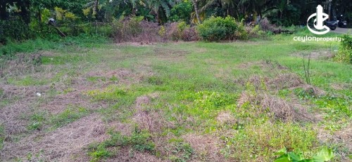 Land for Sale in Matara - Land for Sale in Matara