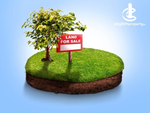 Land for Sale in Matara - Land for Sale in Matara