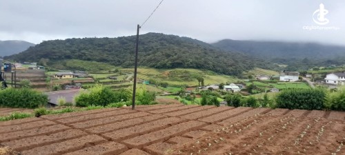 Land for Sale in Nuwara Eliya - Land for Sale in Nuwara Eliya
