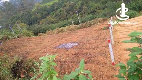 Land for Sale in Nuwara Eliya - Land for Sale in Nuwara Eliya