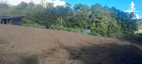 Land for Sale in Nuwara Eliya - Land for Sale in Nuwara Eliya