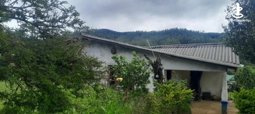 House for Sale in Nuwara Eliya - House for sale in Nuwara Eliya