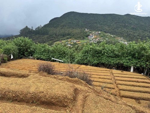 Land for Sale in Nuwara Eliya - Land for Sale in Nuwara Eliya