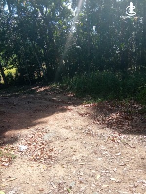 Land for Sale in Matara - Land for Sale in Matara