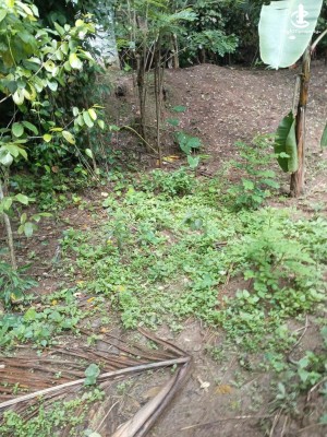Land for Sale in Katugastota - Land for Sale in Katugasthota