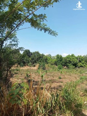 Land for Sale in Dambulla - Land for Sale in Dambulla