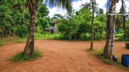 Land for Sale in Minuwangoda - Land for sale in Minuwangoda