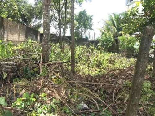 Land for Sale in Kesbewa - House for sale in Kesbewa