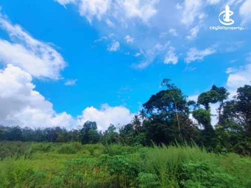 Land for Sale in Colombo 15 (Mattakkuliya) - Land for Sale in Colombo