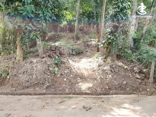 Land for Sale in Kandy - Land for sale in Kandy