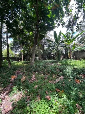 Land for Sale in Battaramulla - Land for Sale in Battaramulla
