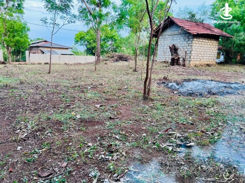 Land for Sale in Kataragama - Urgent Land for Sale – Tissamaharama