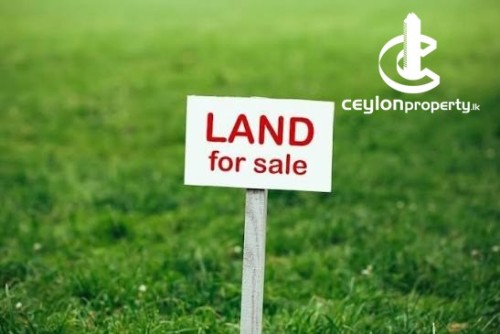 Land for Sale in Mount Lavinia - Prime Land for Sale – Sirimal Uyana, Mount Lavinia