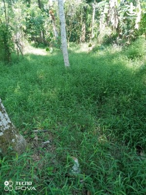 Land for Sale in Kosgama - Valuable Land for Sale in Kosgama – Paranagama
