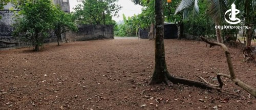 Land for Sale in Pannipitiya - Land for Sale – Delgahawatta Road, Pannipitiya (Malabe Road)