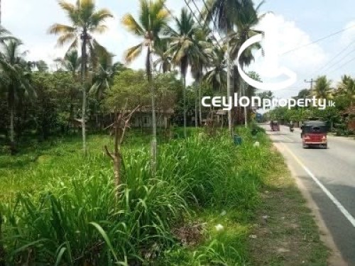 Land for Sale in Padukka - Prime Commercial Land for Sale – Padukka / Horana Main Road
