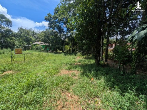 Land for Sale in Avissawella - Land for Sale – Avissawella