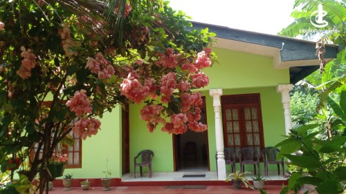 House for Sale in Matale - House for Sale in Matale – Palapathwela | Ideal for Living or Investment