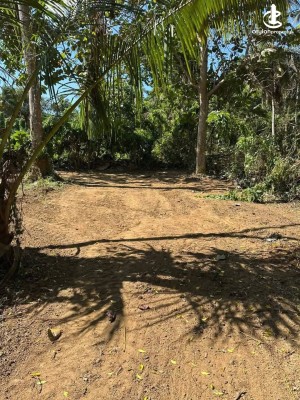 Land for Sale in Beliatta - Land for Sale in Beliatta