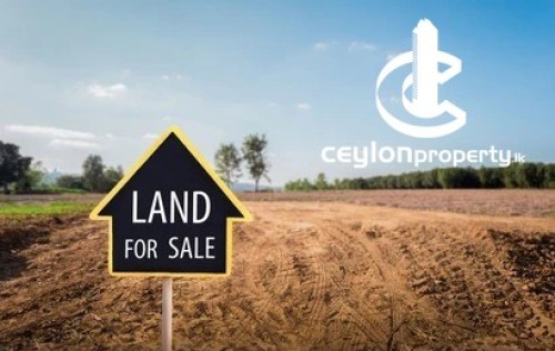 Land for Sale in Horana - 11 Perch Land for Sale in Horana