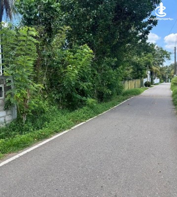 Land for Sale in Homagama - Land for Sale – Homagama